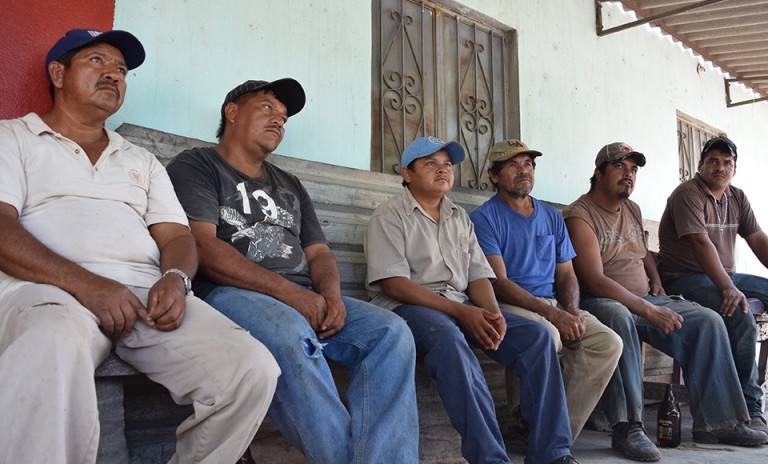 Explota Universidad a trabajadores del campo